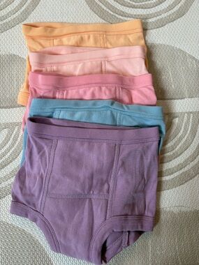 Hanna Andersson never worn- training briefs